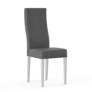 Silla Lumbar